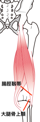 膝回りの画像